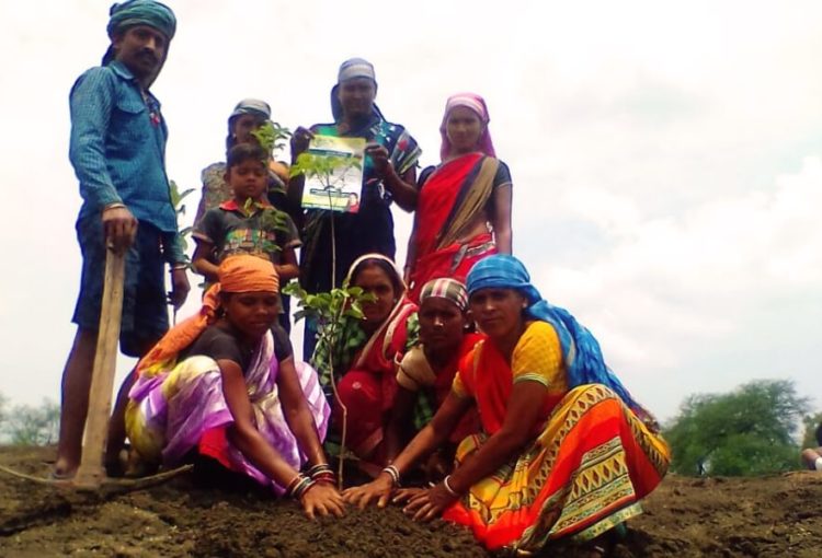 Hamar Village, Hariyar Village Campaign